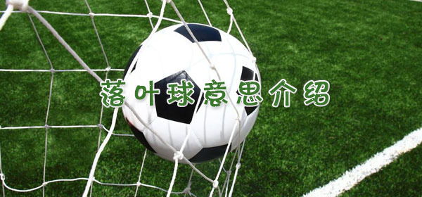 落叶球是什么意思_足球比赛落叶球意思介绍