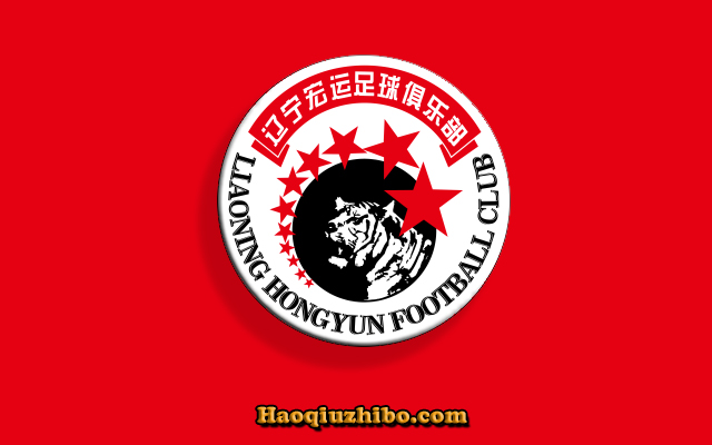 中超辽宁宏运球员大名单,辽宁宏运最新阵容一览